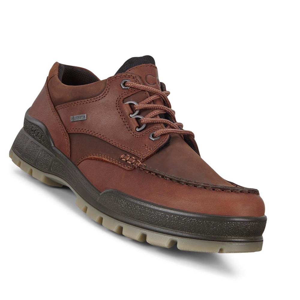 Men's Ecco Track 25 Low Hiking & Trail Burgundy | USA 572DFM